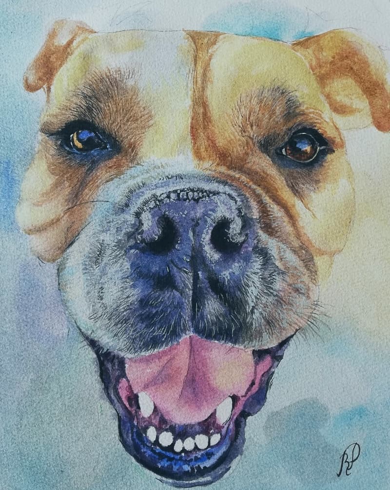Pet Watercolor Portrait · Artwork #015
